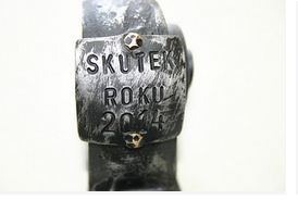 Skutek roku 2014