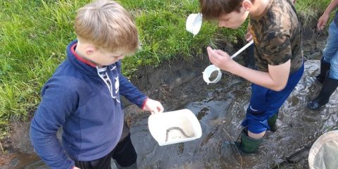 Biologie v terénu s primou